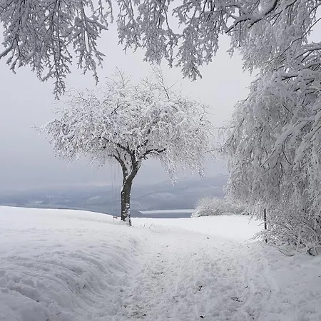 Дом отдыха Sonnenschein Am Rursee Зиммерат