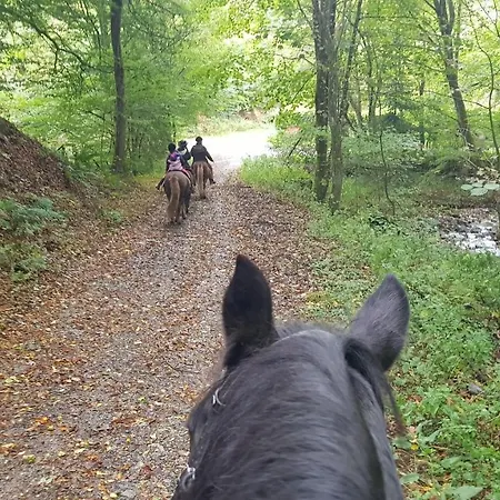 Sonnenschein Am Rursee * Зиммерат