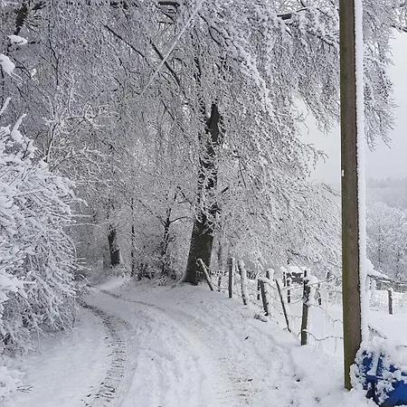 Sonnenschein Am Rursee