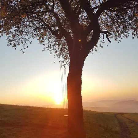 Sonnenschein Am Rursee Дом отдыха *