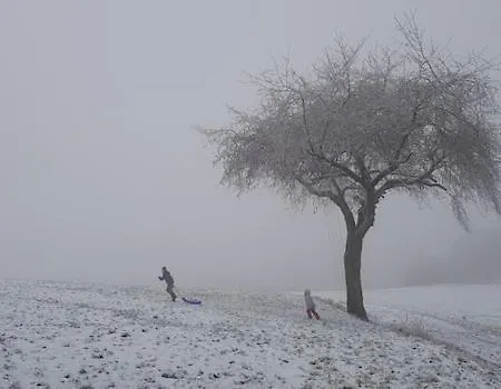 Sonnenschein Am Rursee Дом отдыха