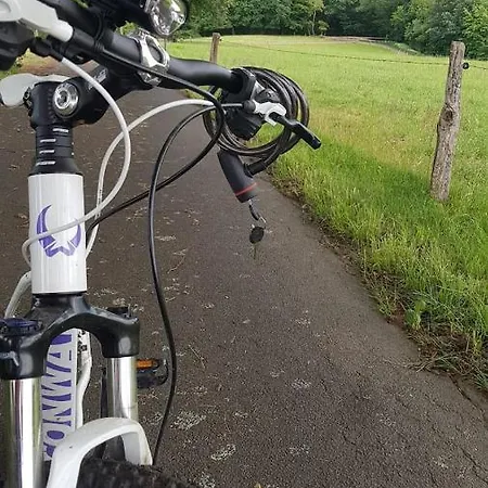 Sonnenschein Am Rursee