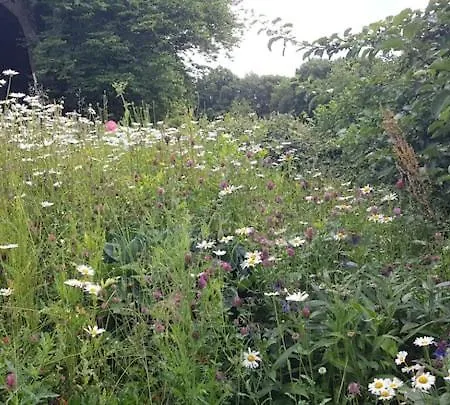 Sonnenschein Am Rursee Дом отдыха *