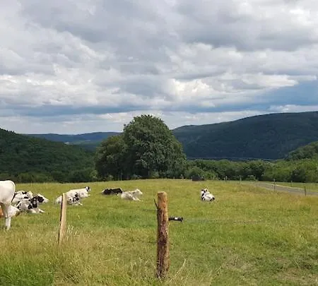 Дом отдыха Sonnenschein Am Rursee