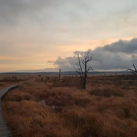 Sonnenschein Am Rursee *