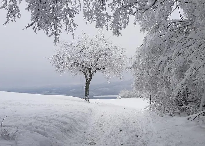 בית נופש Sonnenschein Am Rursee זימראת'