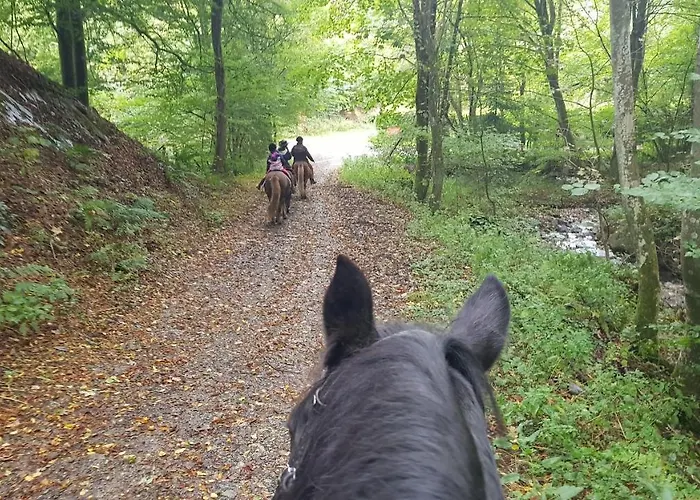 Sonnenschein Am Rursee * Simmerath