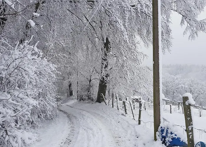 Sonnenschein Am Rursee