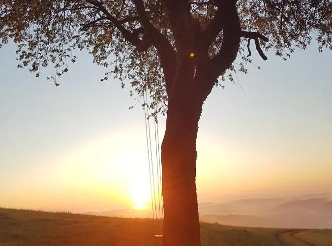 Sonnenschein Am Rursee בית נופש *