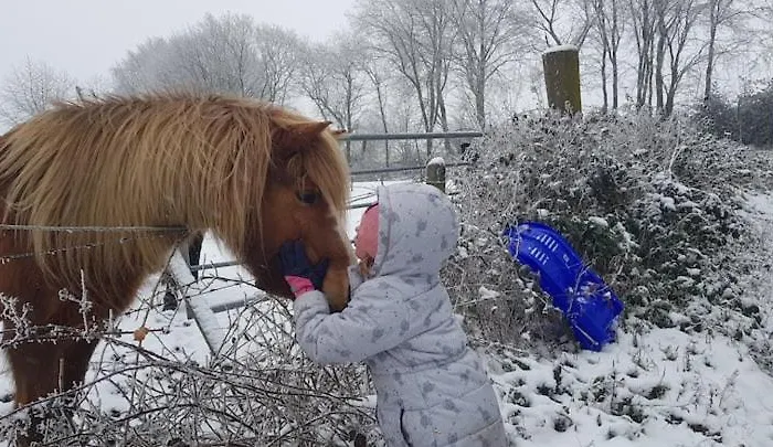 Sonnenschein Am Rursee זימראת'