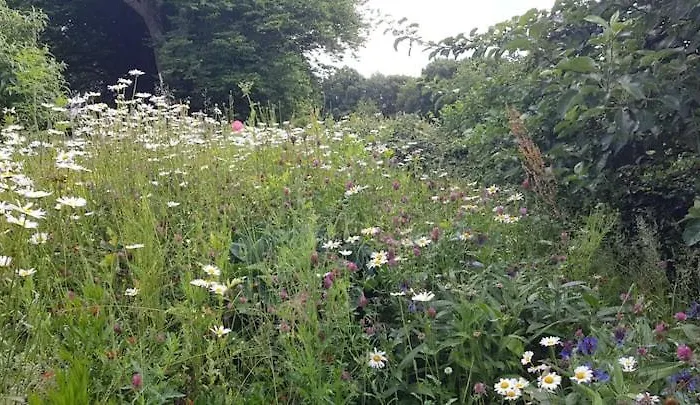 Sonnenschein Am Rursee בית נופש *