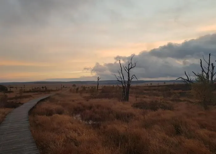 Sonnenschein Am Rursee *